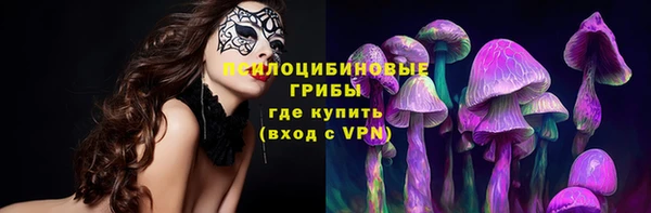 ПСИЛОЦИБИНОВЫЕ ГРИБЫ Дмитров