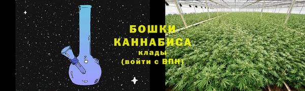 2c-b Гусев