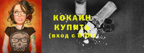 ПСИЛОЦИБИНОВЫЕ ГРИБЫ Дмитров