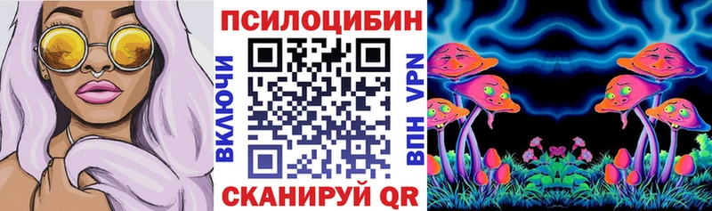 Галлюциногенные грибы Psilocybe  Купить закладки  Палласовка 